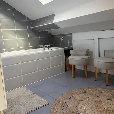 Large Spacious Duplex Townhouse דיז'ון