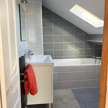 Large Spacious Duplex Townhouse * דיז'ון
