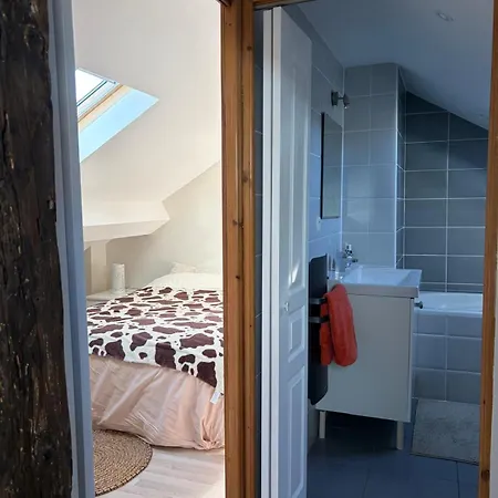 דירה Large Spacious Duplex Townhouse דיז'ון